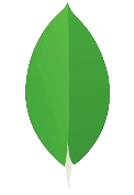 mongodb